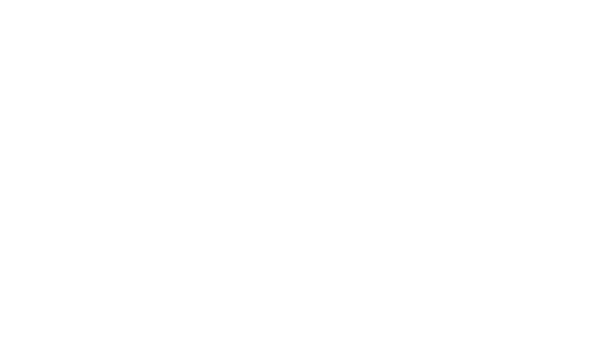 BearFest series logo